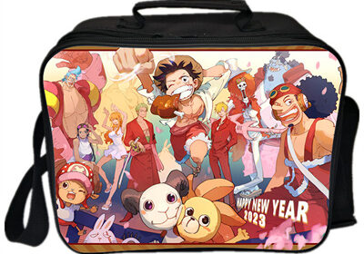 One Piece Lunch Bag Picnic Box Portable